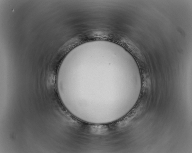 X0000111530281200908041311