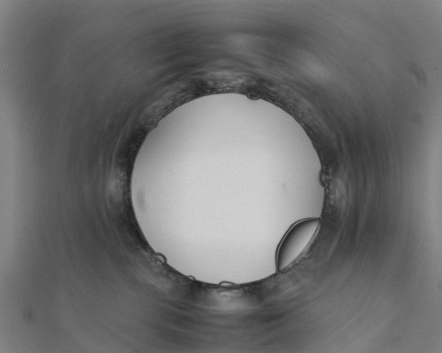 X0000111530283200908041311