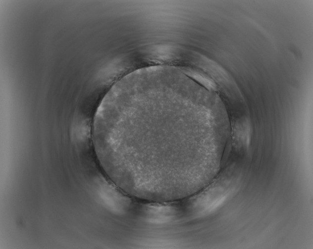 X0000111530284200908041311