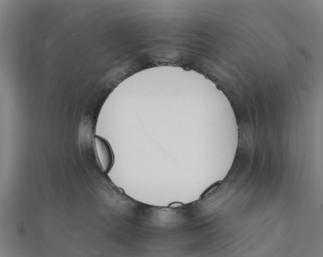 X0000111530287200908041311