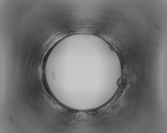 X0000111530290200908041310