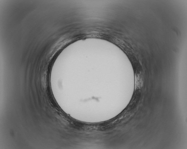 X0000111530291200908041310