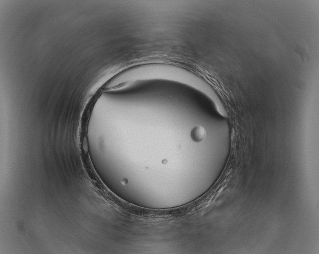 X0000111530292200908041310