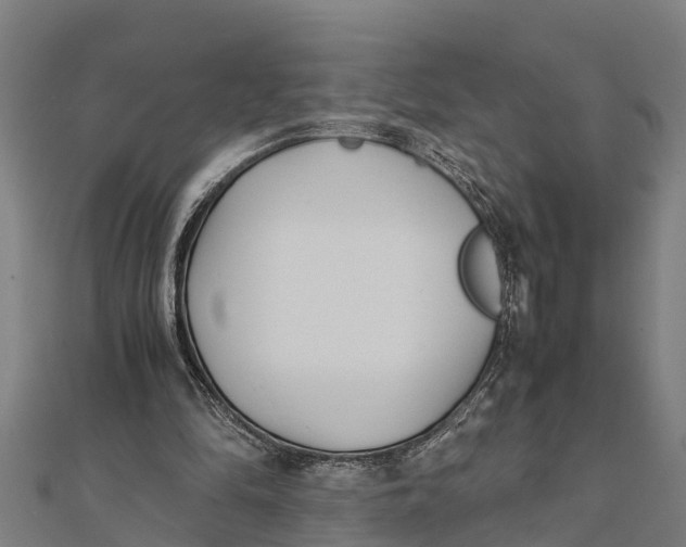 X0000111530294200908041310