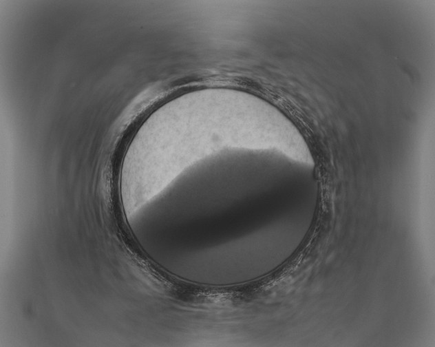 X0000111530295200908041310