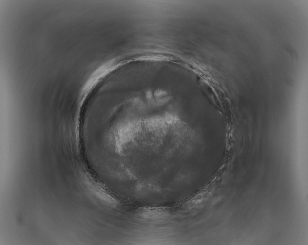 X0000111530296200908041310