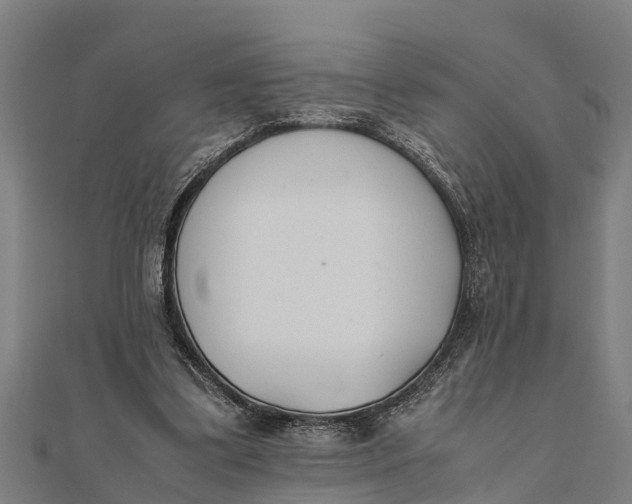 X0000111530299200908041310