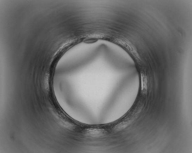 X0000111530300200908041310