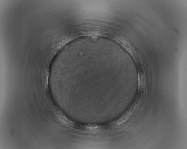 X0000111530301200908041310