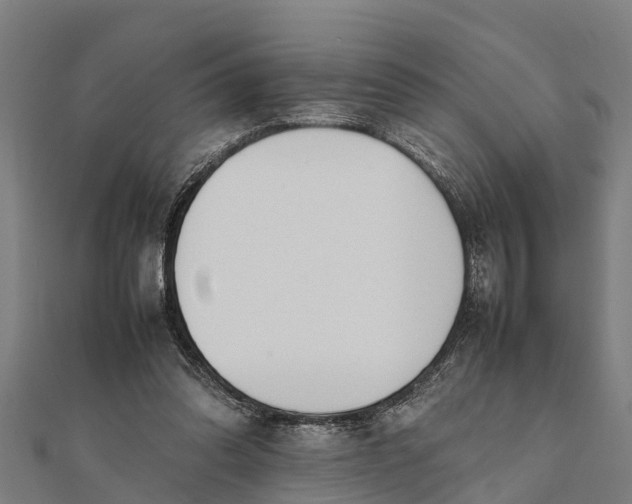 X0000111530302200908041310