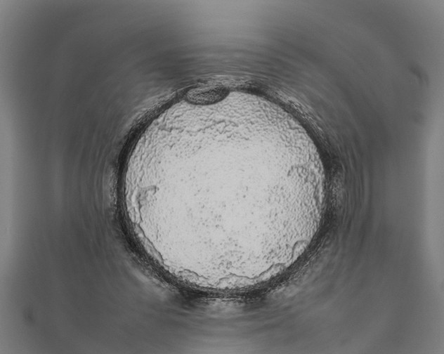 X0000111530303200908041310