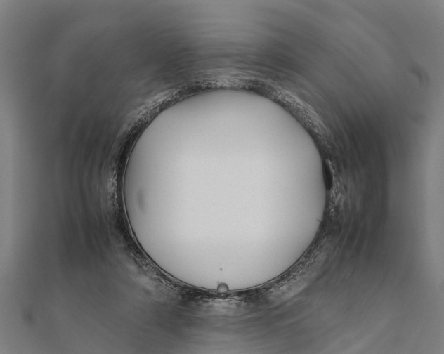 X0000111530306200908041310