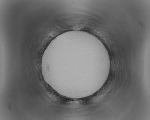 X0000111530307200908041310