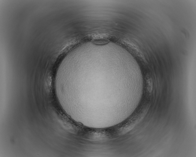 X0000111530308200908041310