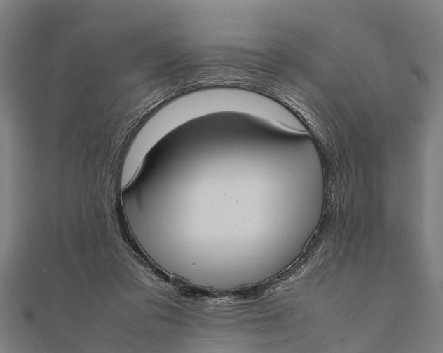 X0000111530309200908041310