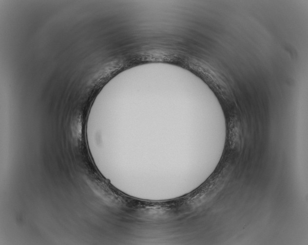 X0000111530310200908041310