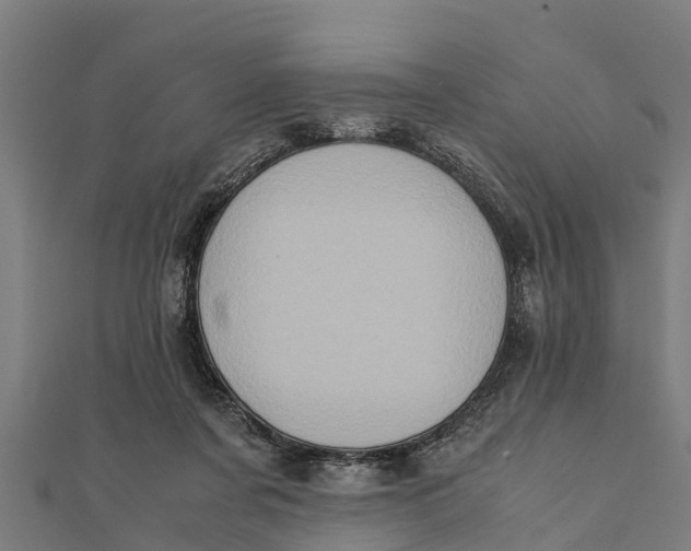 X0000111530311200908041310