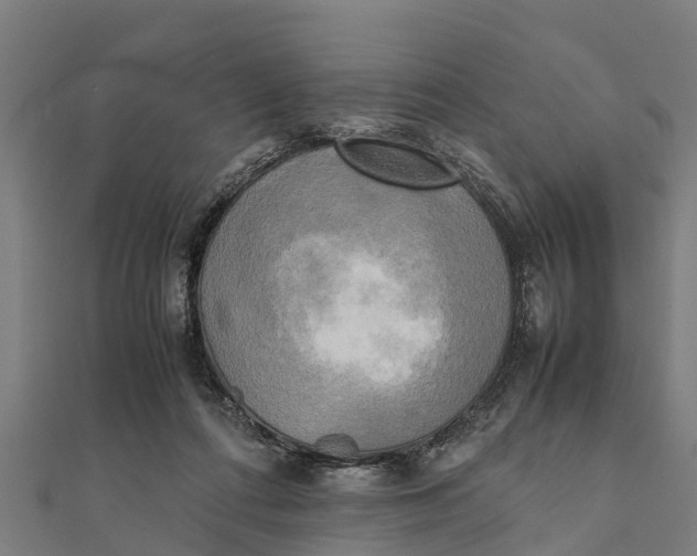 X0000111530312200908041310