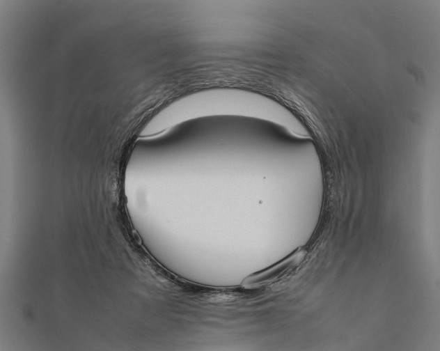 X0000111530313200908041310