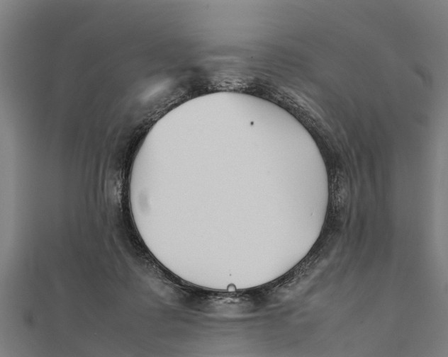 X0000111530315200908041310