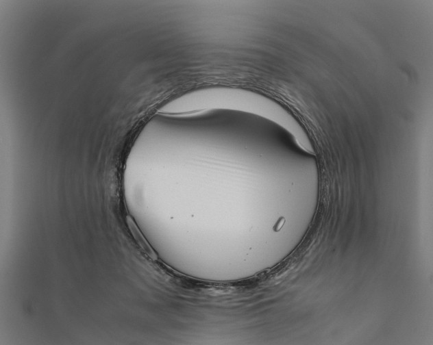 X0000111530317200908041310