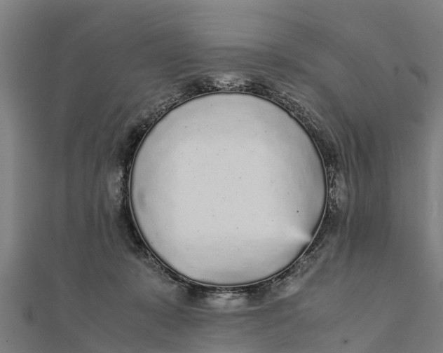 X0000111530319200908041310