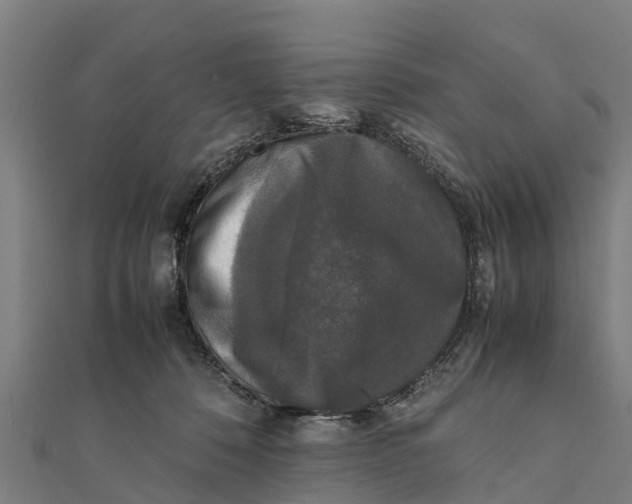 X0000111530320200908041310