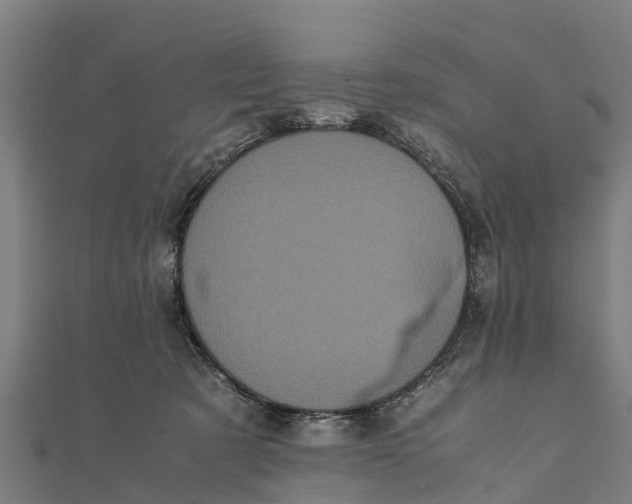 X0000111530321200908041310