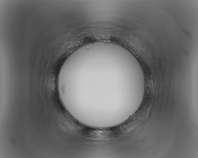 X0000111530323200908041310