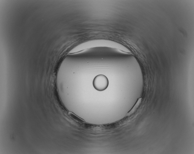 X0000111530325200908041310