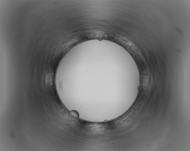 X0000111530326200908041310