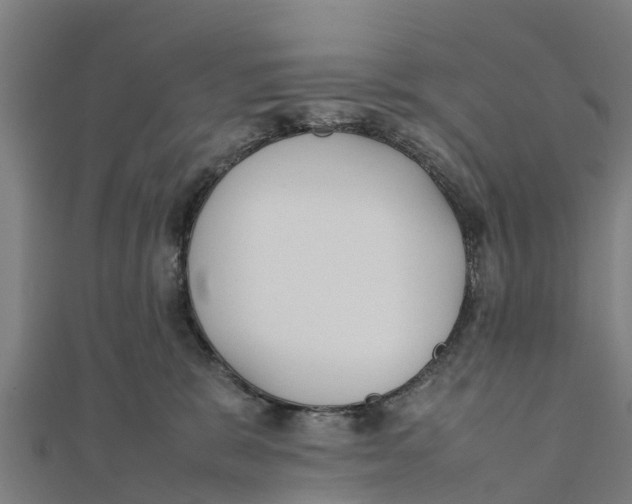 X0000111530327200908041310