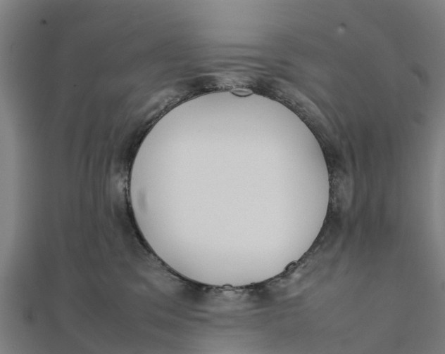 X0000111530329200908041310