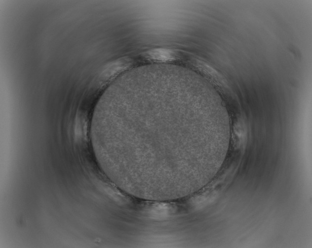 X0000111530330200908041310