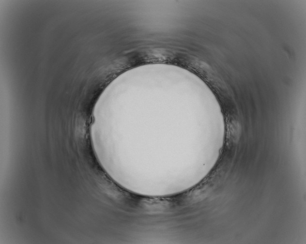 X0000111530331200908041310