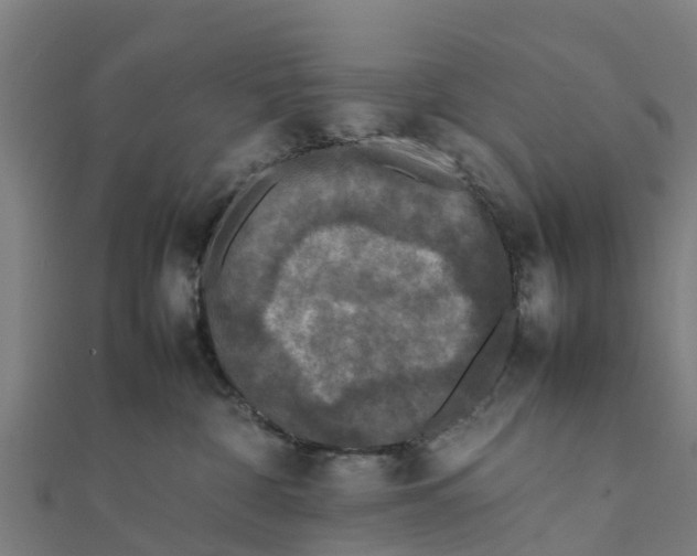 X0000111530332200908041310