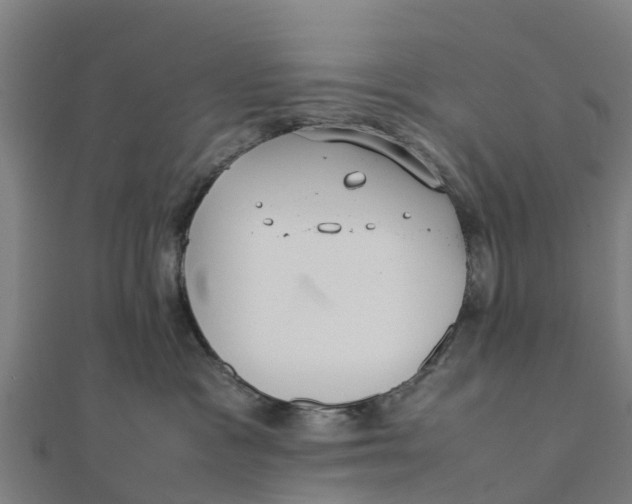 X0000111530333200908041310