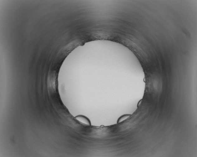 X0000111530334200908041310