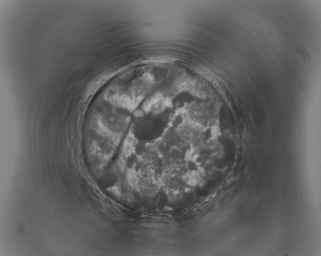 X0000111530337200908041309