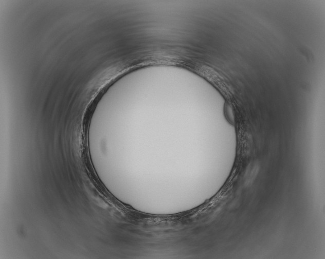 X0000111530338200908041309