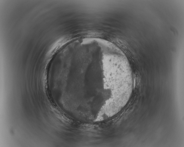 X0000111530339200908041309