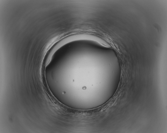 X0000111530340200908041309