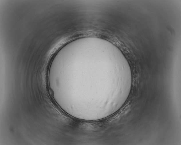 X0000111530341200908041309