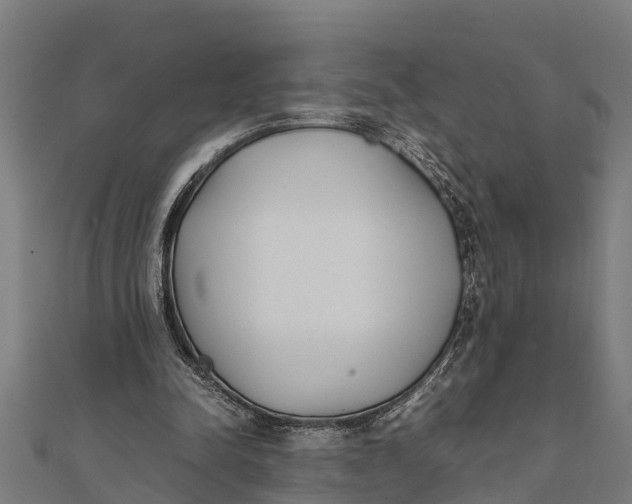 X0000111530342200908041309