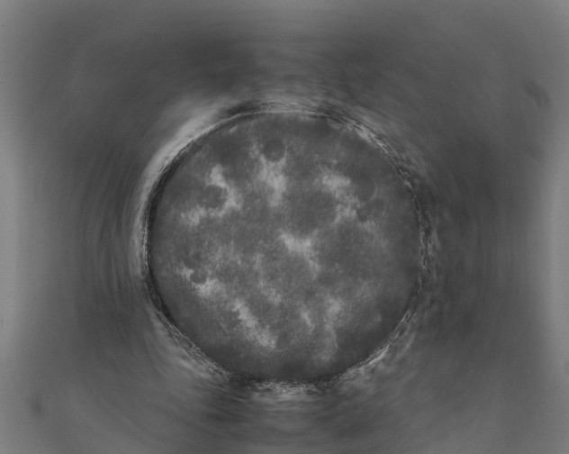 X0000111530343200908041309