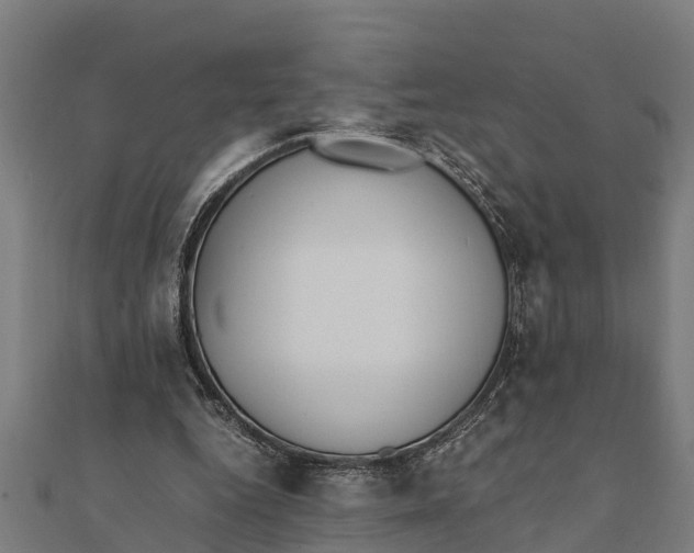 X0000111530344200908041309