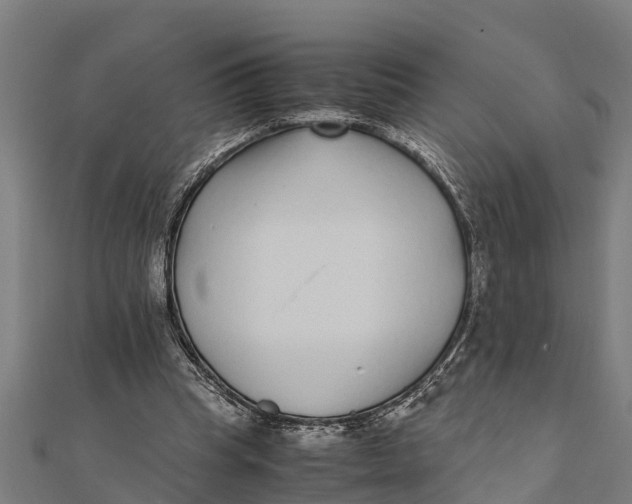 X0000111530345200908041309