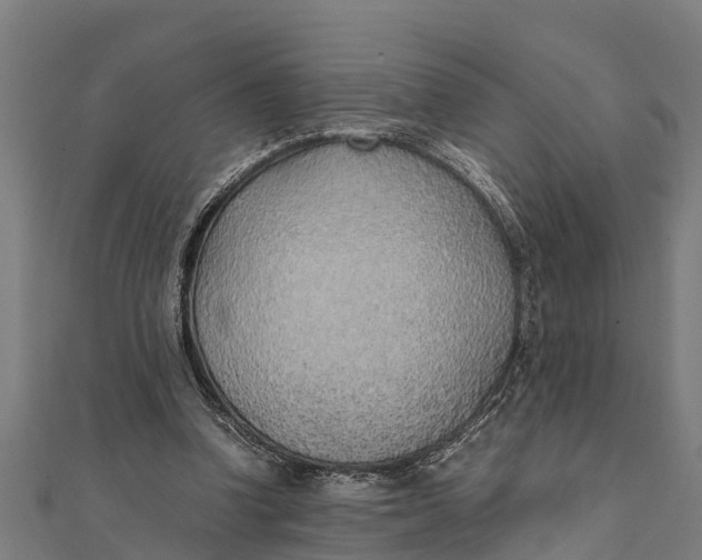 X0000111530346200908041309