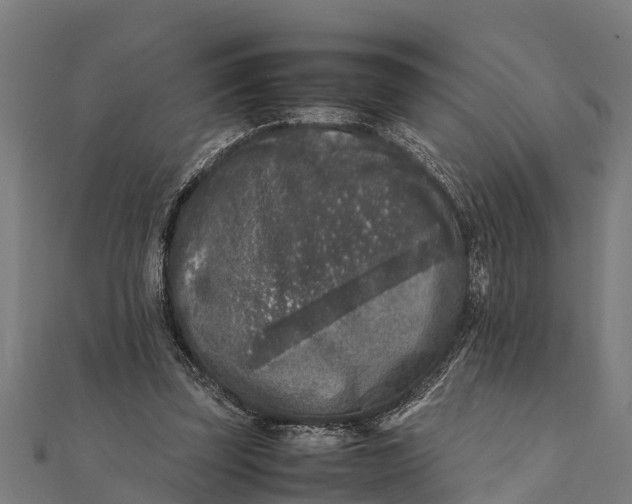 X0000111530347200908041309