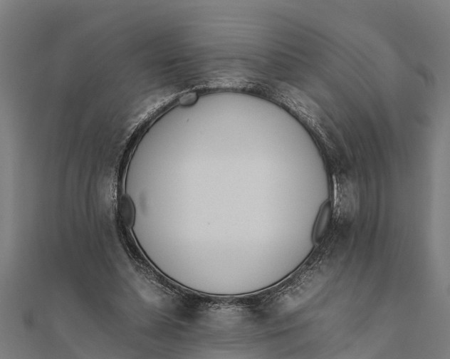 X0000111530348200908041309